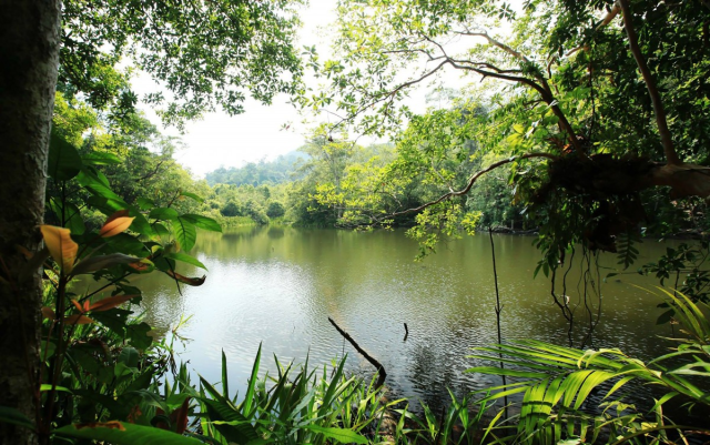 Photo Camping - Nouvelle-Aquitaine