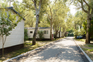 EXCLUSIVITÉ GIRONDE