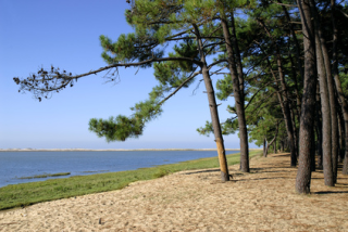 CAMPING COTE LANGUEDOC ROUSSILLON 