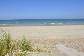 COTE ATLANTIQUE, À 1km DE LA PLAGE DANS UN BEAU SITE BOISÉ